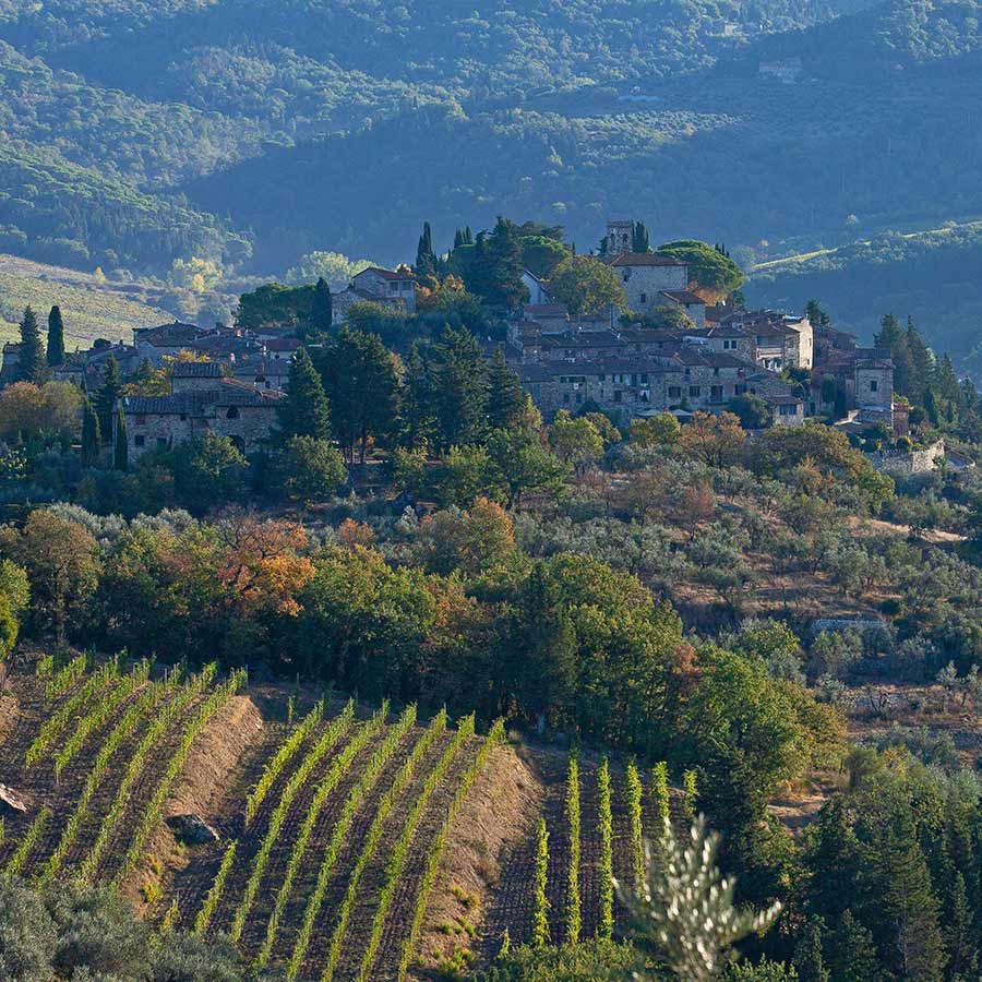 Montefioralle arroccata tra vigneti autunnali e ulivi nel Chianti