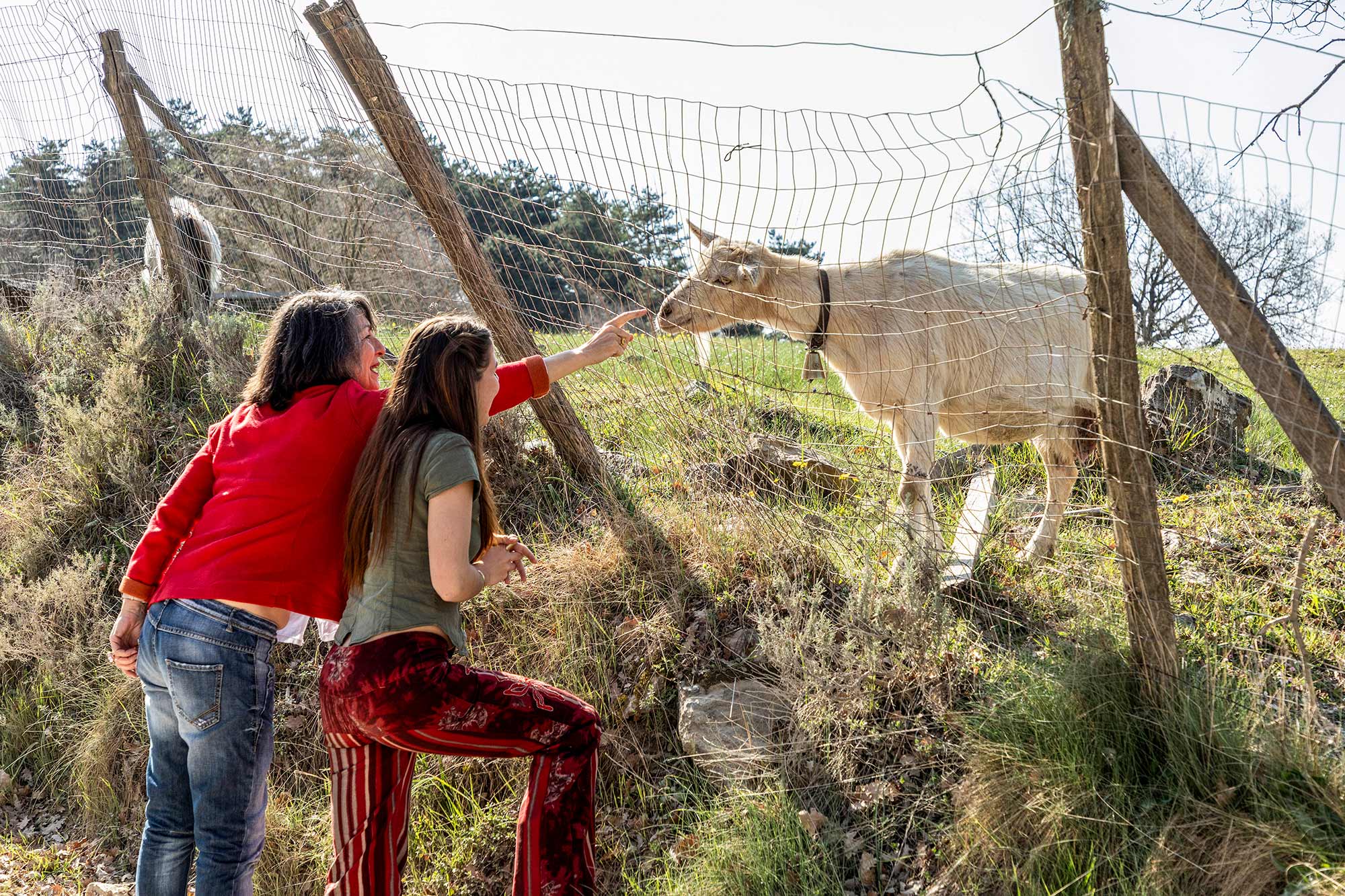Due ospiti ridono mentre accarezzano un asino bianco attraverso un recinto in campagna